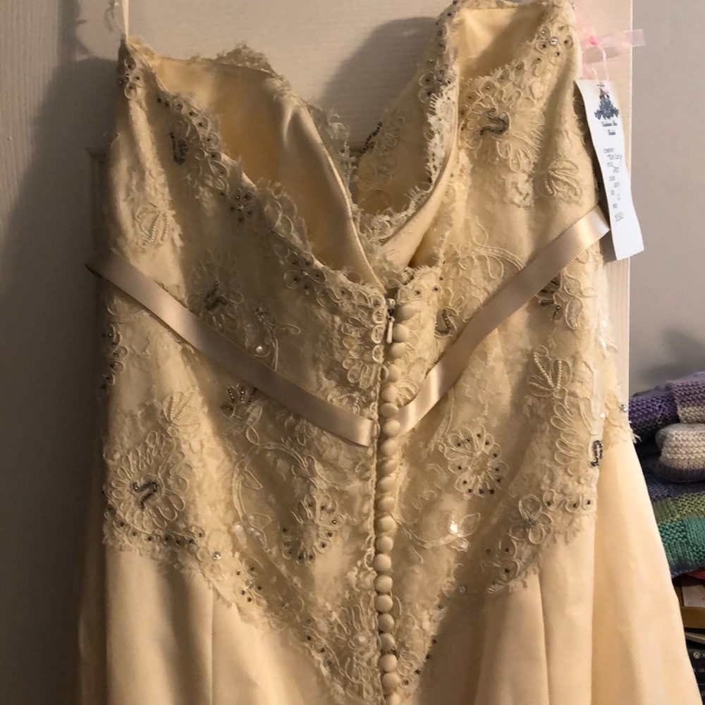 Wedding Dress - Picture 3 of 5